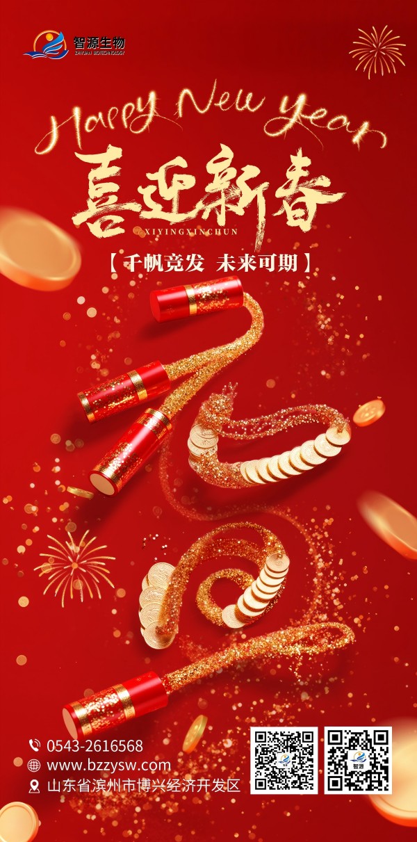 喜迎尋春.jpg