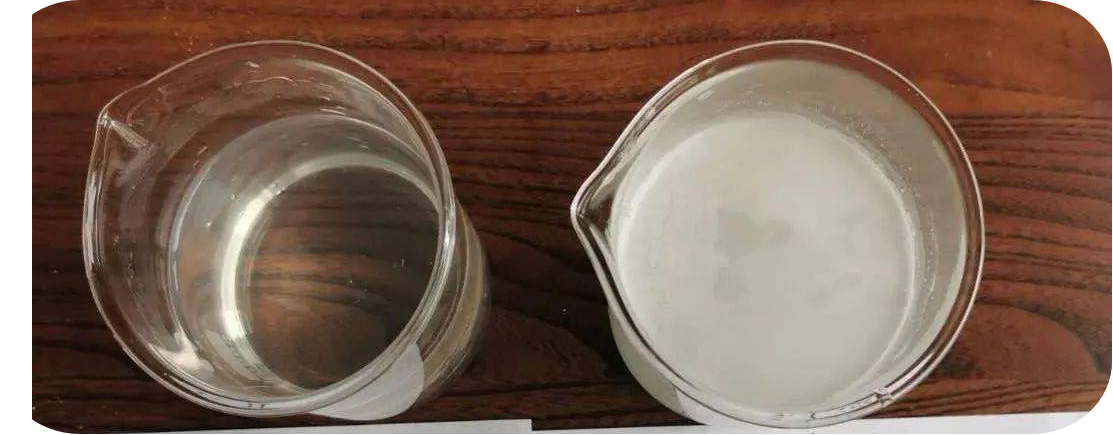 智源推薦-水溶性氟苯尼考包合物(圖1)